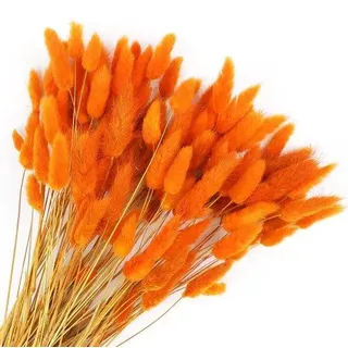 Ibenzoa® Boho Trockenblumenplumes – 120 Stück, natürliche Deko für Vasen, Kränze & Sträuße, ca. 42 cm (teilweise auf 25 cm gebrochen), ohne Wasser - Orange