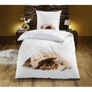 Kinzler Bettwäsche »Hund & Katze« 2 Stk. tlg. aus Baumwoll-Renforcé bunt