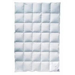 billerbeck Daunendecke - E04 Gold Edition - Bettdecke für alle Jahreszeiten - 135 x 200 cm Decke mit echten Daunen - Wärmestufe Mittel
