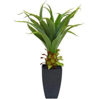 Europalms Agave im Topf, 75cm