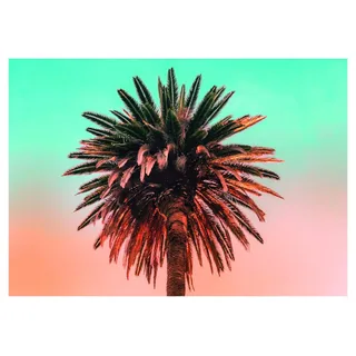 Komar Wandbild | Palm Tree | Poster, Bild, Wohnzimmer, Schlafzimmer, Dekoration, Kunstdruck | ohne Rahmen | P051-70x50 | Größe: 70 x 50 cm (Breite x Höhe)
