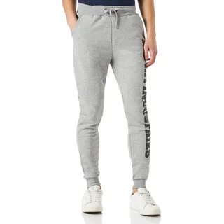 Alpha Industries Cargohosen Grau XXL