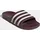 Adilette Aqua Maroon/Off White 39