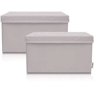 Lifeney Aufbewahrungsbox 37 x 25 x 21 cm 2-tlg. hellgrau