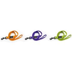 Pet Tribe PT58181 Hundeleine, Nylon, fluoreszierend, Violett