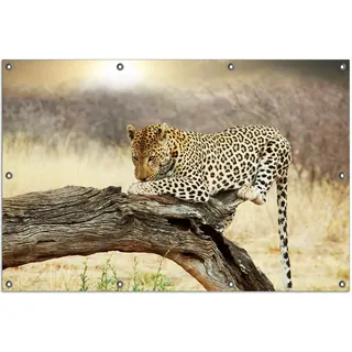 Wallario Outdoor-Poster für Garten oder Balkon, Motiv Leopard auf Baumstamm in Afrika, in ca. 100 x 150 cm - Gelb