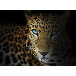 Leinwandbild , Schwarz, Weiß , Holz, Papier , Kiefer , rechteckig , 135x100 cm , Keilrahmen , Bilder & Rahmen, Bilder, Leinwandbilder