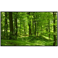 Bild von Infrarotheizung Wald im Frühling«, Matt-Effekt - bunt
