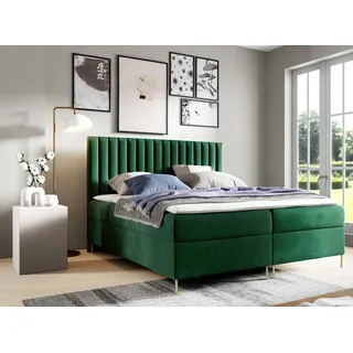 GUTTO Boxspringbett JILL 120 x 200cm mit Bettkasten TOPPER 5cm Gratis Grün Velour hohe goldene Beine - Grün