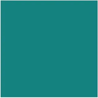 Iris Karton 50x65cm 185gr mintgrün -25u- - Grün