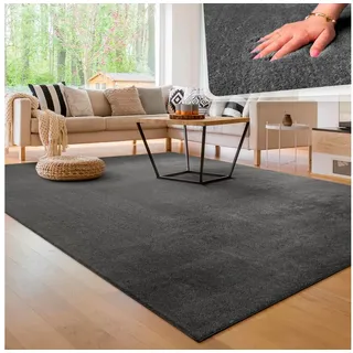 Paco Home Teppich Wohnzimmer, Kurzflor weich, waschbar, auch als Läufer erhältlich, grau