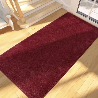 FCSDETAIL Schmutzfangmatte Innen Lang 80 x 178 cm, rutschfeste waschbare Fußmatte, Sauberlaufmatte, absorbierend Türmatte, Fussmatte Läufer Teppich für Hund, Eingang, Haustür, Flur, Küchen, Korridor