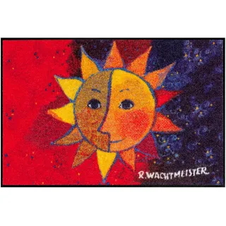 SALONLOEWE Rosina Wachtmeister Fußmatte Sole 85x85 cm Katzen bunt Wohn-Teppich quadratisch waschbar Eingangs-Matte