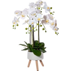Bild von Kunstorchidee »Orchidee Phalaenopsis in Keramikschale«, mit Real-Touch-Blüten und auf Füßen, weiß