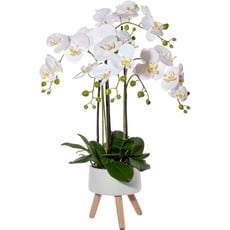 Bild Kunstorchidee »Orchidee Phalaenopsis in Keramikschale«, weiß