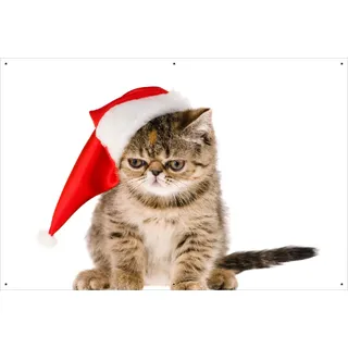 Wallario Outdoor-Poster für Garten oder Balkon, Motiv Ich hasse Weihnachten - mürrische Katze mit Weihnachtsmütze, in ca. 61 x 91,50 cm - Weiß