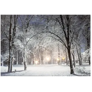Zarivy LED-Bild, verschneite Landschaften, 58 x 1,5 x 38 cm. Beleuchten Sie Ihren Raum mit 6 LEDs in 2 verschiedenen Modellen. Bringen Sie die Wärme einer Winterlandschaft in Ihr Zuhause!