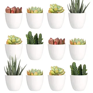 Youngever 24er Pack 5 CM Mini Pflanzgefäße aus Kunststoff, Blumentöpfe für den Innenbereich, Weiße Gartentopf mit Drainage – NO Pflanze im Lieferumfang enthalten (Modern)
