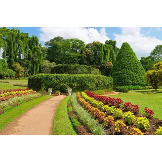 Papermoon Fototapete »GARTEN-BLUMEN BÄUME PFLANZEN PARK STEINE WALD BLÜTEN«, bunt