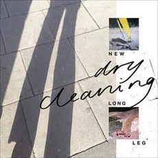 Musik New Long Leg / Dry Cleaning, (1 CD)