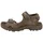 Offroad Herren Dunkelbraun 48