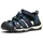 Blau 31