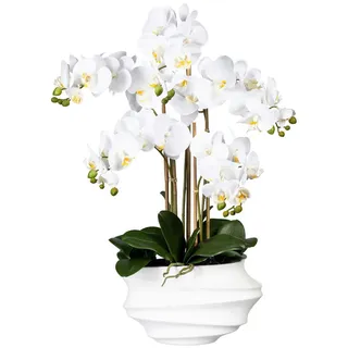 P & B Kunstblume Orchidee, ca. 75cm