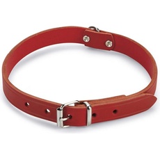 Beeztees BZ LEDERHALSBAND ROT 57X20 (Hund, Allgemein), Halsband + Leine