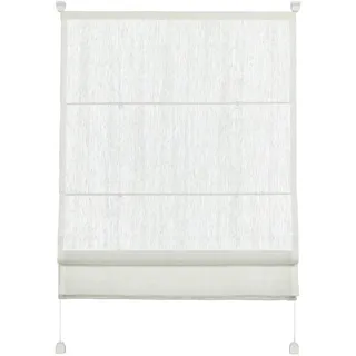 GARDINIA Raffrollo Easyfix 80 x 140 cm transparent/weiß