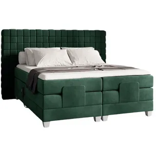 Fun Möbel Boxspringbett Grün,