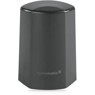 Homematic IP Temperatursensor außen Anthrazit 150574A0