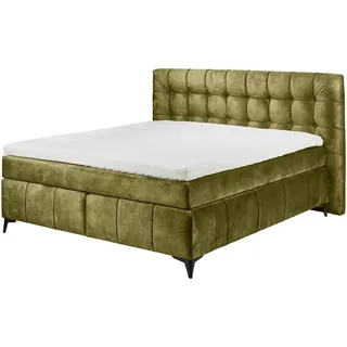 ed-lifestyle polstermöbel Oregon Boxspringbett 180x200 cm Grün, Ausführung:Variante 1 - Grün