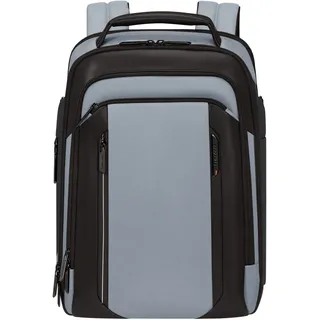 Laptoprucksack SAMSONITE "SPECTROLITE 4.0", Gr. B/H/T: 29cm x 41cm x 14cm, cloudy grau, Rucksäcke Laptoprucksack, Geschäftsrucksack, Businessrucksack mit vielen Fächern