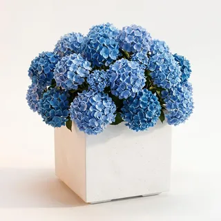 Ondis24 Blumenkübel, Blumentopf Caro Beton Optik Pflanzkübel, pflanzkasten XXL auf Rollen aus Kunststoff 100% Recycled Pflanzkübel groß außen (Weiß, 40 cm)