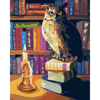 Diamondi - Diamond painting - EULE IN DER BIBLIOTHEK, 40X50 cm, mit Keilrahmen (bereits gespannt)