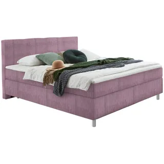 Hom`in Boxspringbett , Lila , Kunststoff , H2 , Höhe ca. 18 cm , 100x200 cm , Stoffauswahl, Topper durchgehend, in verschiedenen Größen erhältlich, Matratze in verschiedenen Härtegraden erhältlich, Topperauswahl, Kopfteilauswahl , Schlafzimmer, Betten, Einzelbetten