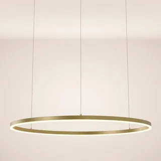 s.luce Led-Hängeleuchte Ring Direkt/Indirekt 5m Gold Ø 100cm , Goldfarben , Metall , Rund,Rund , LED integrated , 100x3.3x100 cm , Lampen & Leuchten, LED Beleuchtung, LED-Hängeleuchten