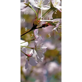 Wallario Design Wanduhr Kirschblüten in zartem Rosa - Frühling im Garten aus Echtglas, Größe 30 x 60 cm - Gelb