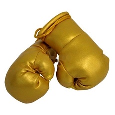 Sportfanshop24 Mini Boxhandschuhe Gold, 1 Paar (2 Stück) Miniboxhandschuhe z. B. für Auto-Innenspiegel