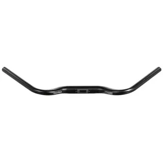 Ergotec Aerowing II Lenker 640mm/48°/31,8mm Schwarz Modell 2024