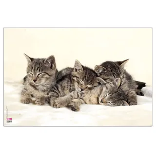 Veloflex 4651114 - Schreibtischunterlage Katzen, 40 x 60 cm, rutschfest, abwischbar, mit transparenter Antireflex-Schutzfolie, Schreibtischauflage, Malunterlage, Bastelunterlage, Mittel