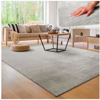 Paco Home - Teppich Wohnzimmer Kurzflor Waschbar Einfarbiger Moderner Stil Weich Silber 80x150 cm