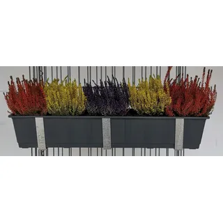 Blumenkastenhalter verzinkt im 3er Set inklusive Blumentopf, für Gabionen MW 5 x 20 - Schwarz