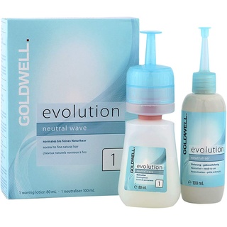 Goldwell Evolution Well-Set 1