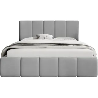 FEDVE Polsterbett Doppelbett Buchel Schlafzimmer Bett Bettkasten 200x200 cm Hellgrau (Magic Velvet 2240) - Hellgrau