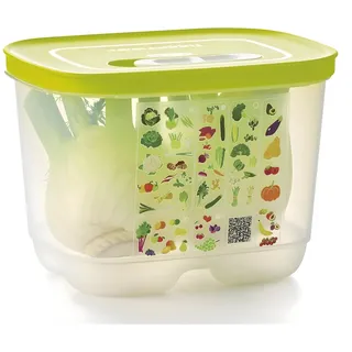 Tupperware VentilOfrais Hoch 1,8 L - Optimale Aufbewahrung Obst Gemüse - Belüftung 3 Positionen Anpassbar - Kunststoff - 18,8x14,2x13,4 cm - Spülmaschinenfest Hochwertig