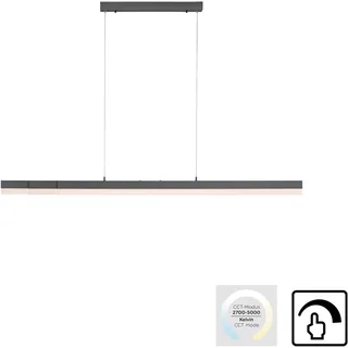 Paul Neuhaus LED Deckenleuchte »SINA«, LED fest integriert, 2700-5000 K, dimmbar, grau