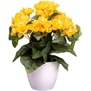 P & B Kunstpflanze , Gelb, Grün , Kunststoff , 28 cm , inkl. Topf , Dekoration, Blumen & Blumentöpfe, Kunstpflanzen