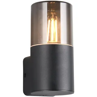 Trio Leuchten Außen Wandleuchte Hoosic 224060132, Druckguss Aluminium Schwarz matt, Schirm Acryl rauchfarbig, exkl. 1x E27