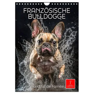 Calvendo Französische Bulldogge - ein Hund für die Familie (Wandkalender 2026 DIN A4 hoch), CALVENDO Monatskalender: Die Französische Bulldogge - lebendig, unbeschwert, umgänglich (CALVENDO Tiere)